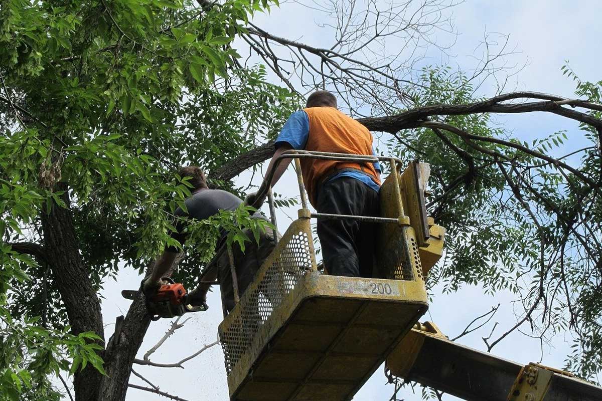 В Харькове троллейбус изменит маршрут