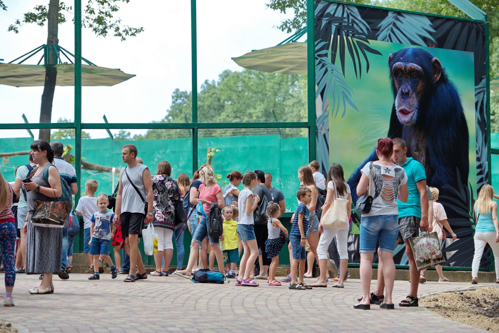 В Фельдман Экопарк построили самый большой в Украине летний вольер для обезьян