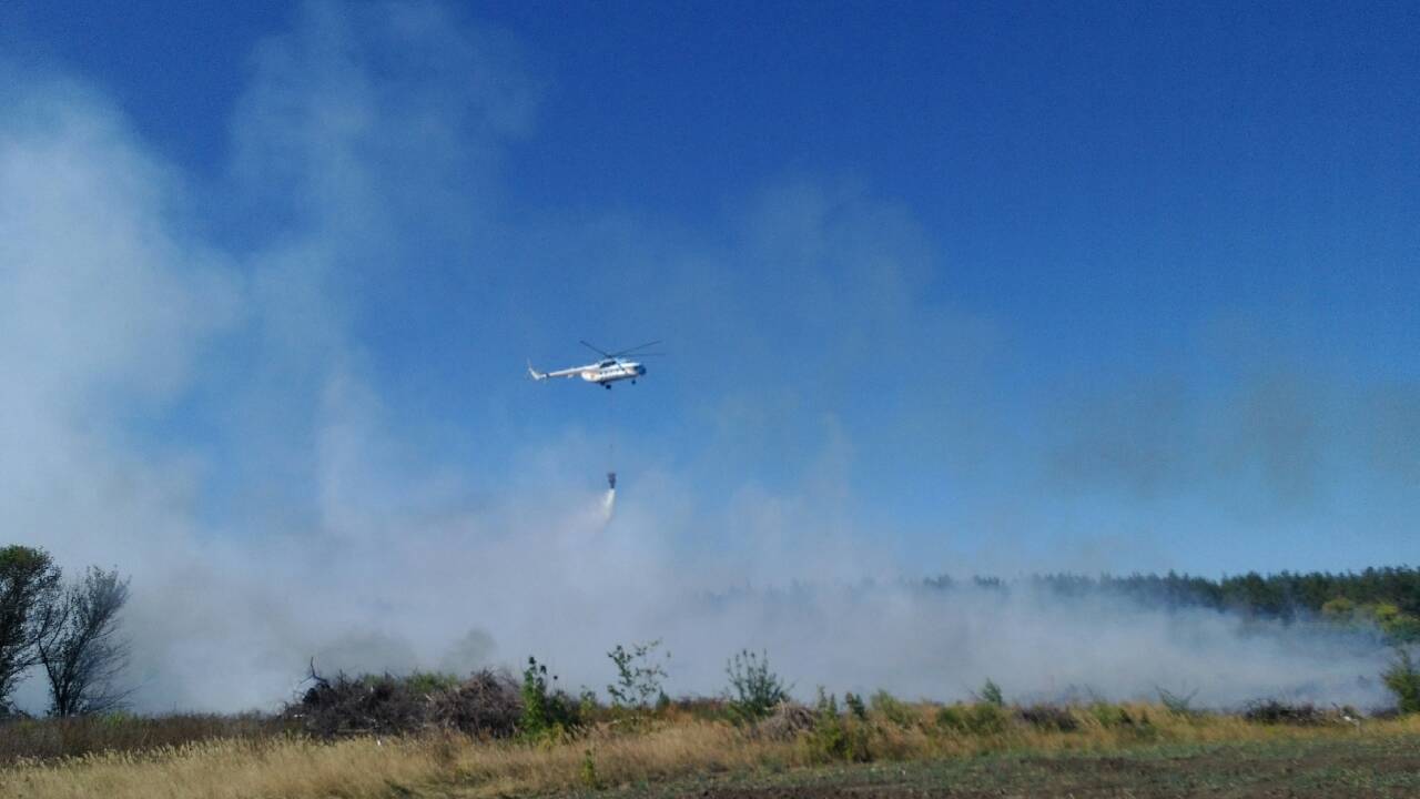 В Сети появилось видео крупного пожара под Харьковом