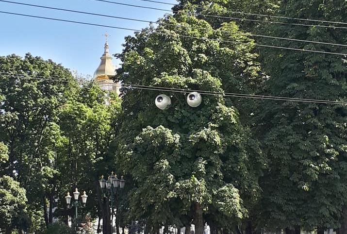 В Харькове появилось дерево с глазами (фото)