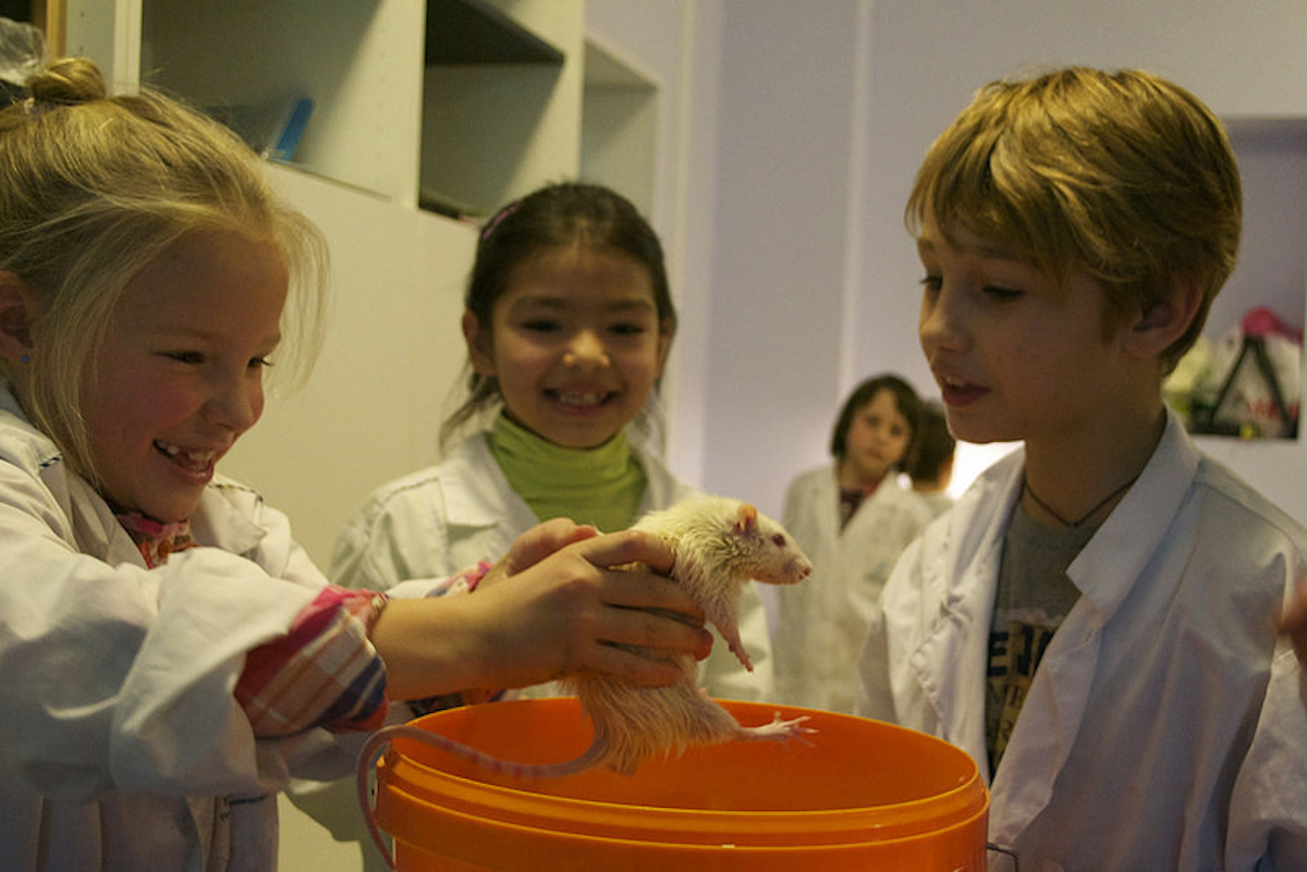 Харьковский зоопарк приглашает детей на учебу