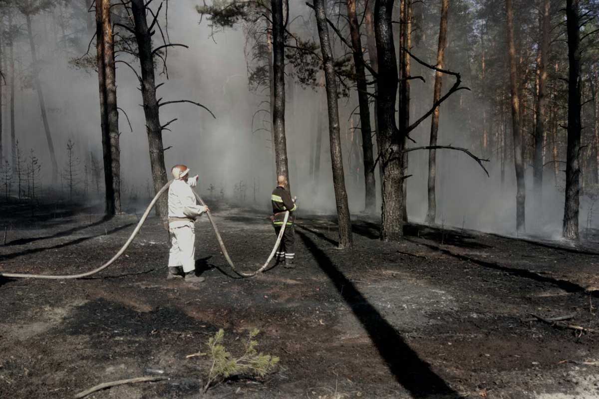 В лес под Харьковом стянули пожарных (фото)