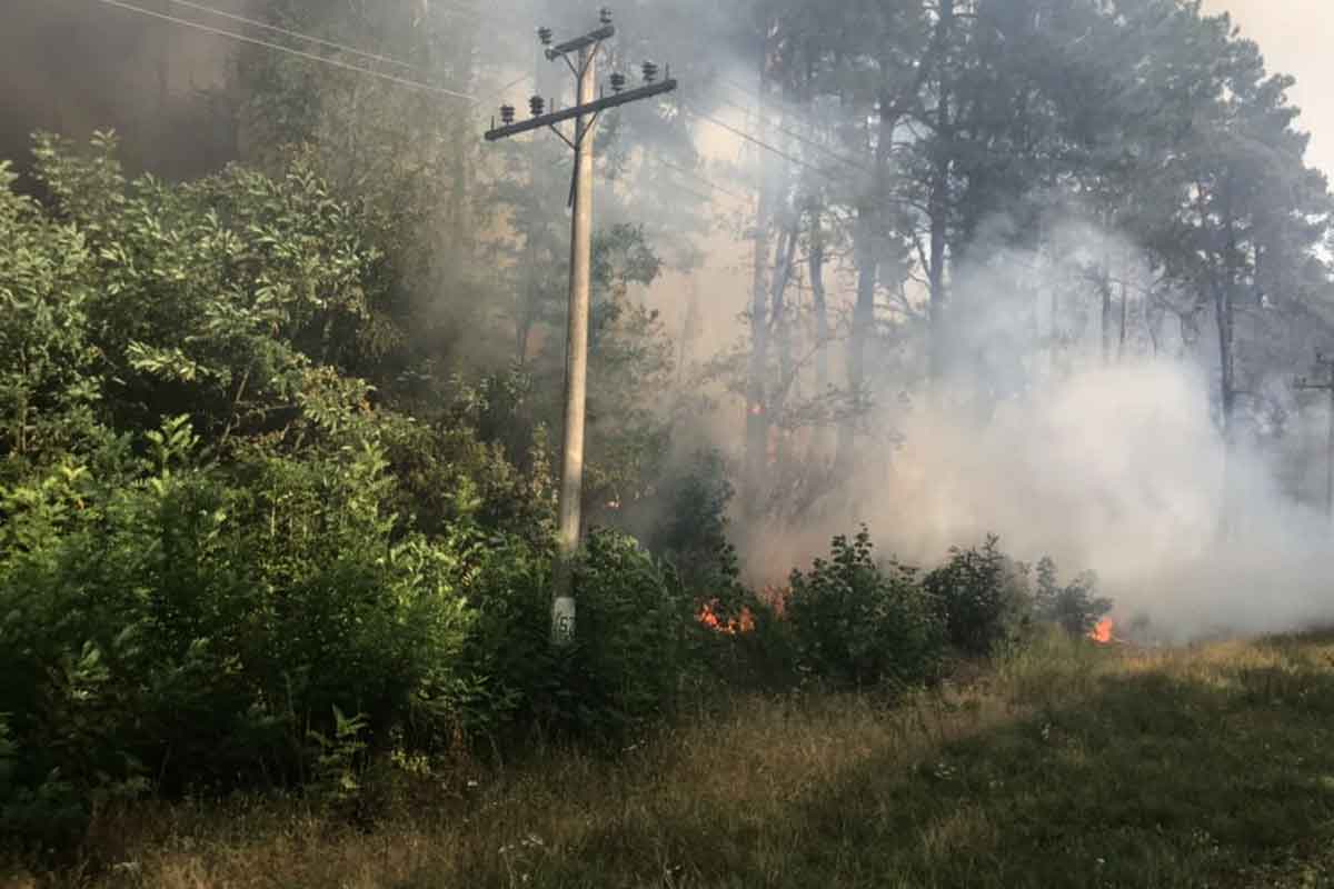 Под Харьковом с авиацией тушат лесной пожар (фото)