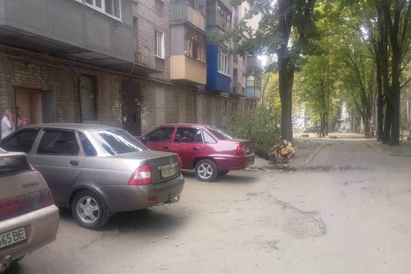 На ХТЗ дерево вырвало с корнем (фото)