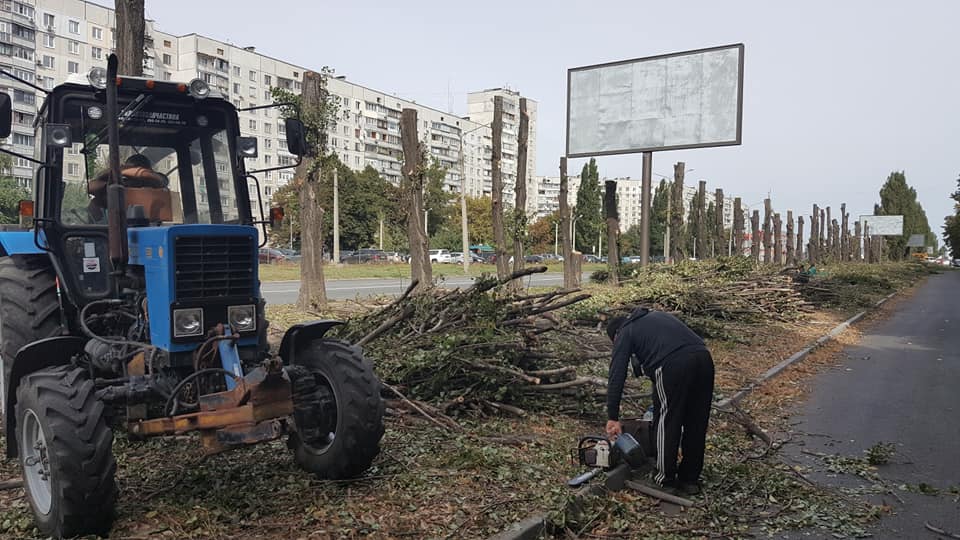 На Салтовке рубят деревья (фото)