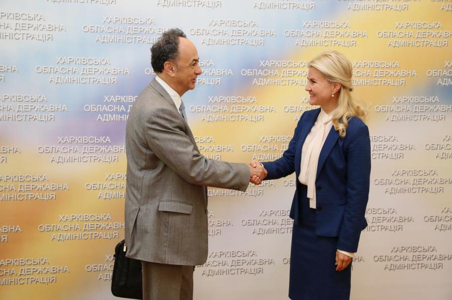 Светличная встретилась с главой Представительства ЕС в Украине