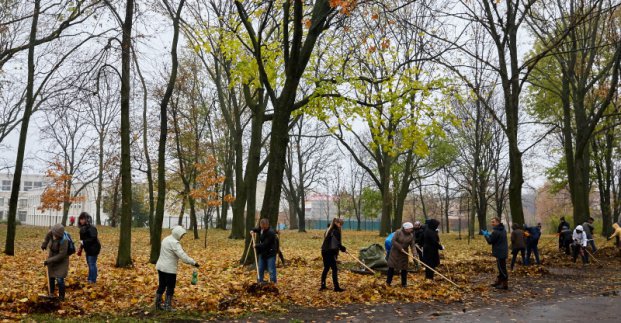 Из Харькова уберут 2 тысячи кубометров листвы