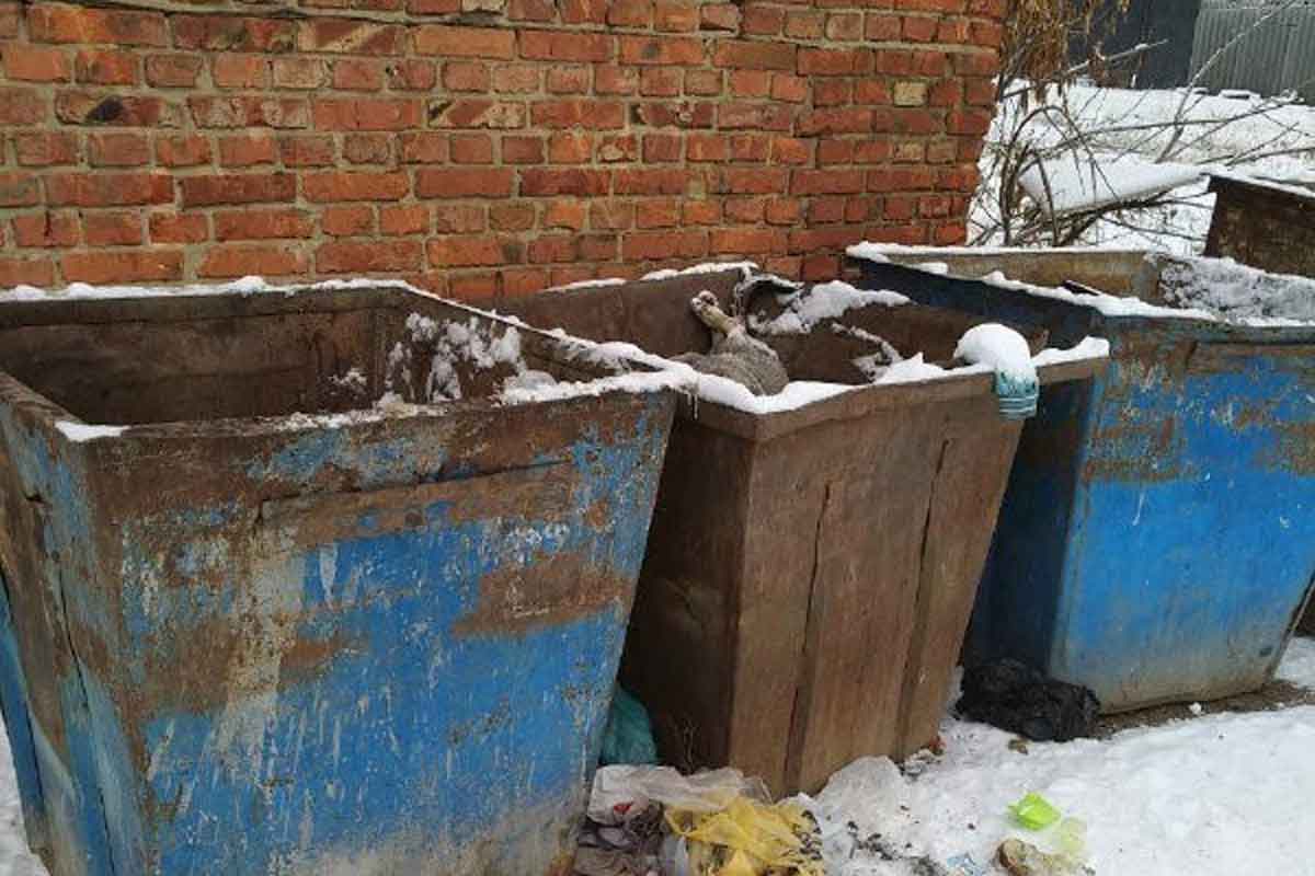 Под Харьковом в мусорном баке найдены трупы щенков