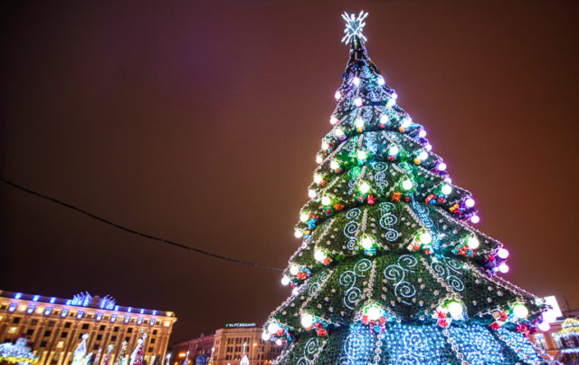 Парад харьковских новогодних елок (фото)