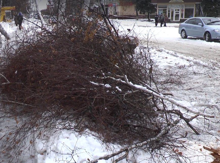 Большой снег: под Харьковом попадали деревья и столбы