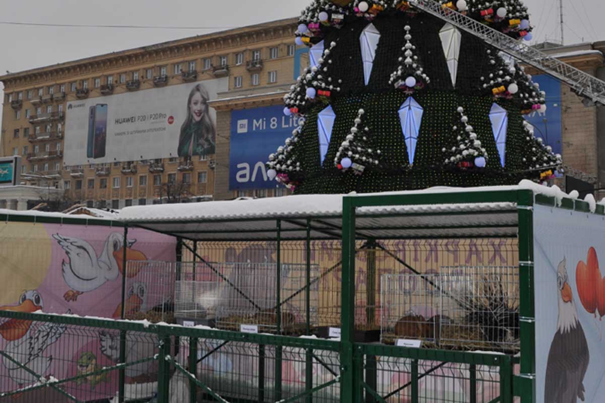 Зоопарк впервые приехал на площадь Свободы (фото, видео)