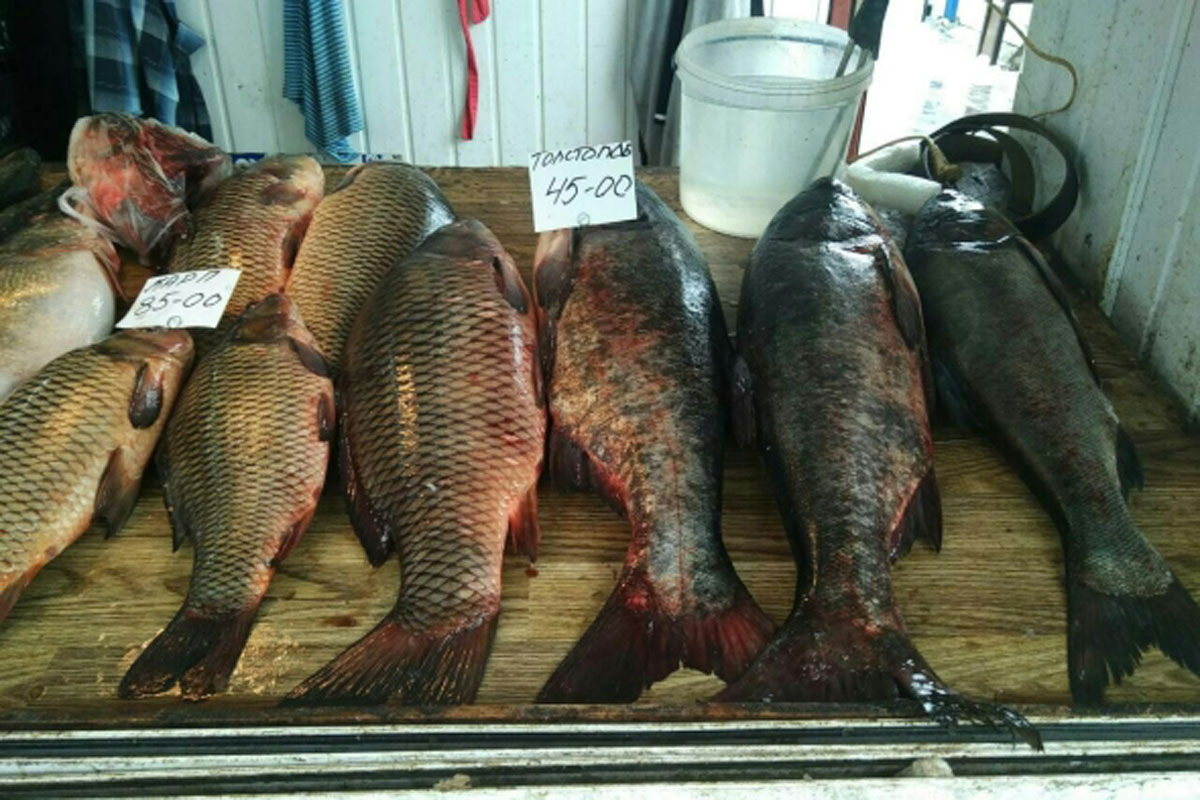 На харьковском рынке незаконно торговали рыбой (фото)