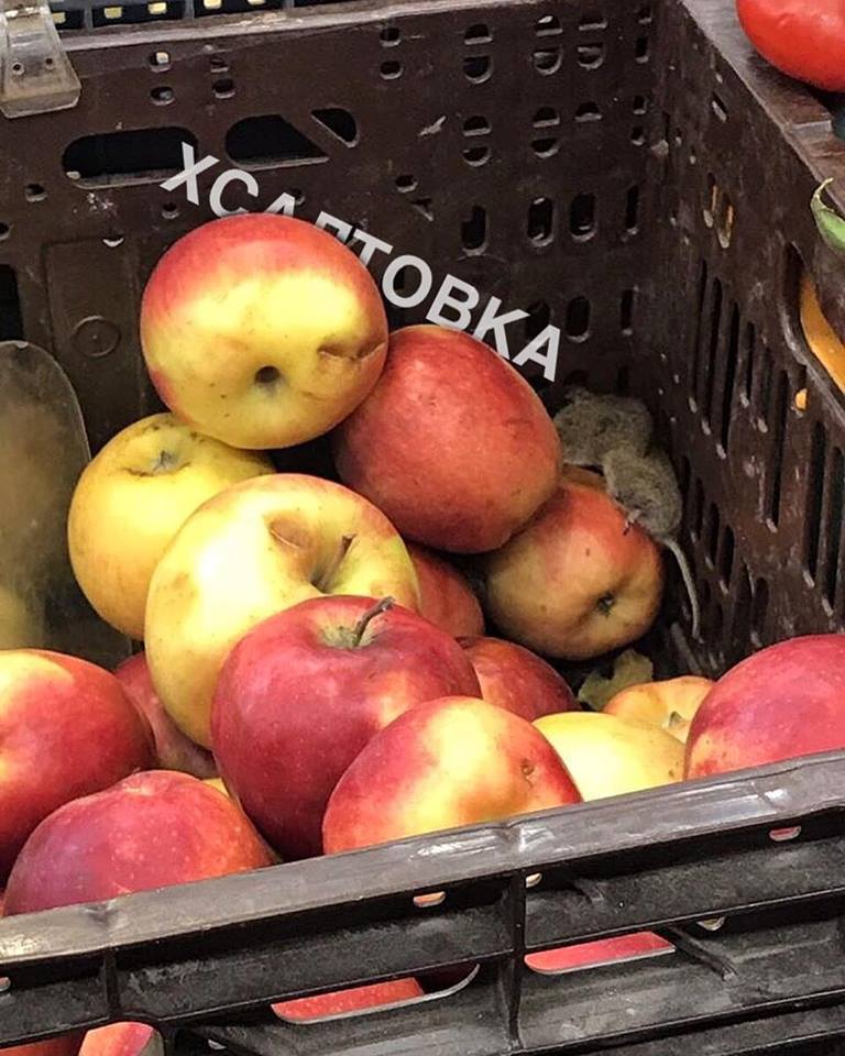 В харьковском супермаркете среди продуктов заметили мышей (фото)