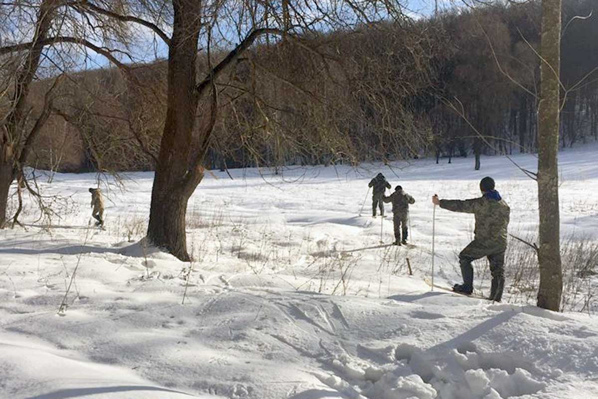 В Харьковской области пересчитали диких животных