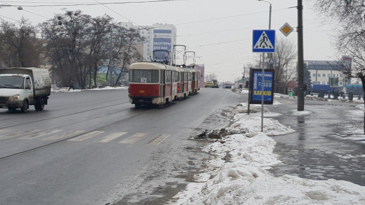 В центре стоят трамваи (фото)