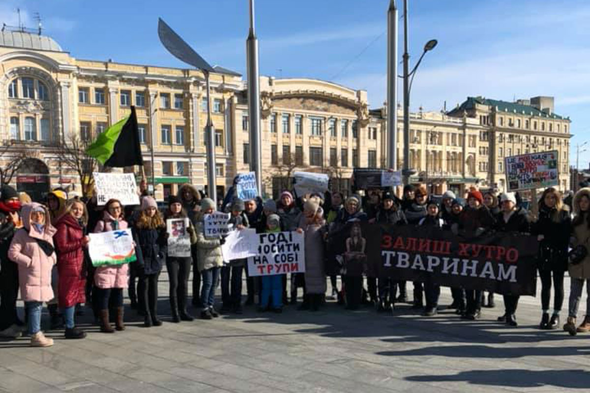 В центре Харькова прошел митинг (фото, видео)