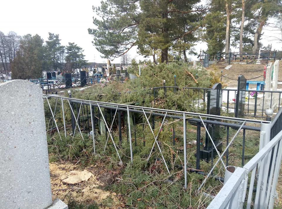 Под Харьковом деревья упали на могилы (фото)