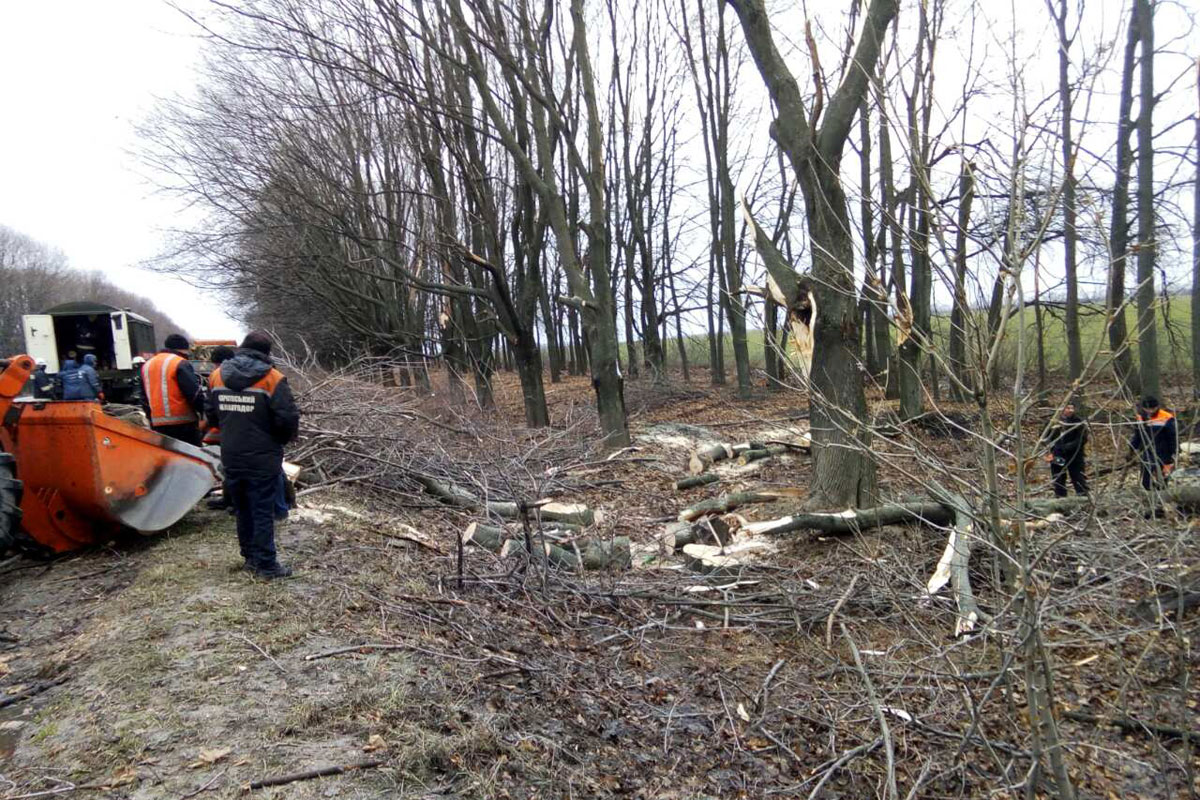 Под Харьковом отремонтировали дороги (список)