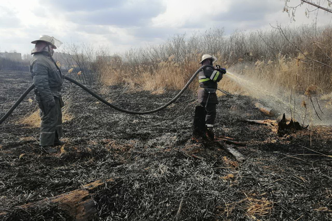 В Харькове пожарные потушили крупный пожар на болоте