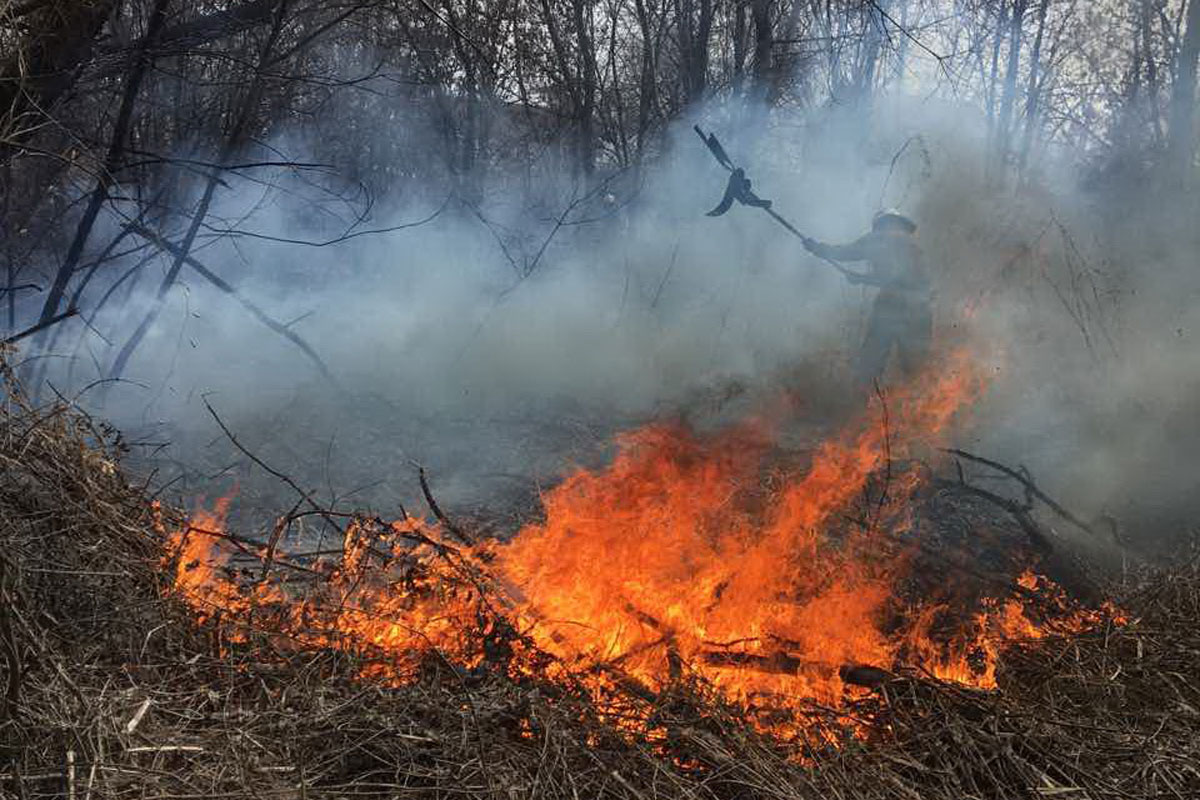 В Харькове потушили крупный пожар возле АЗС (фото)