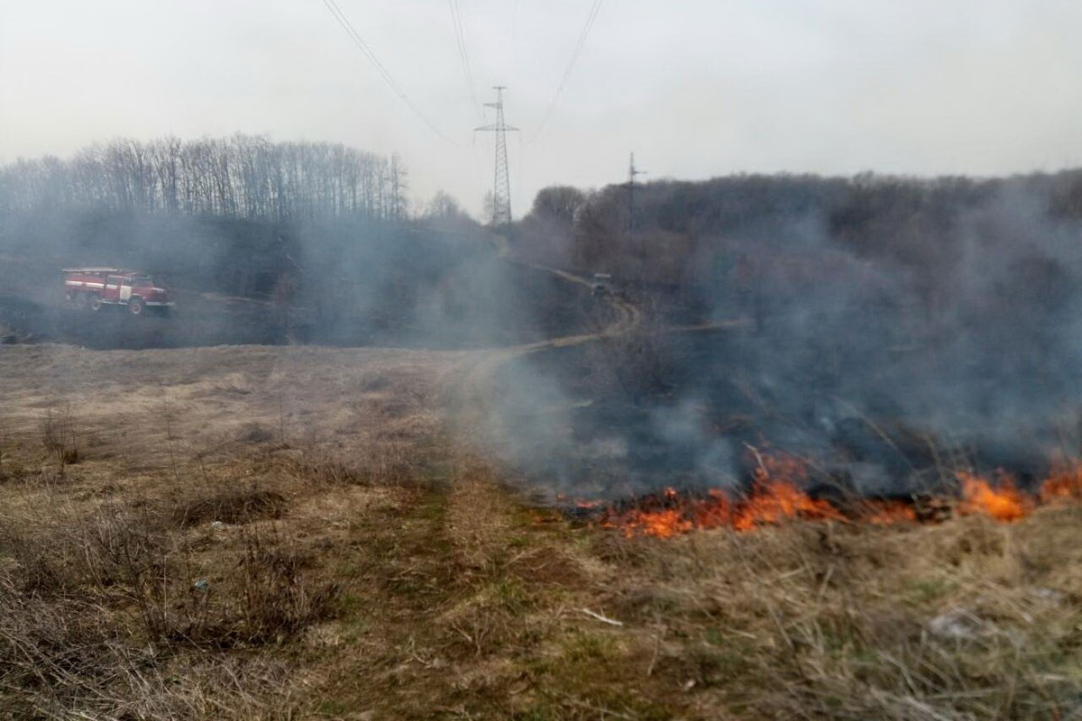 Под Харьковом пылает трава, сгорели постройки (фото)