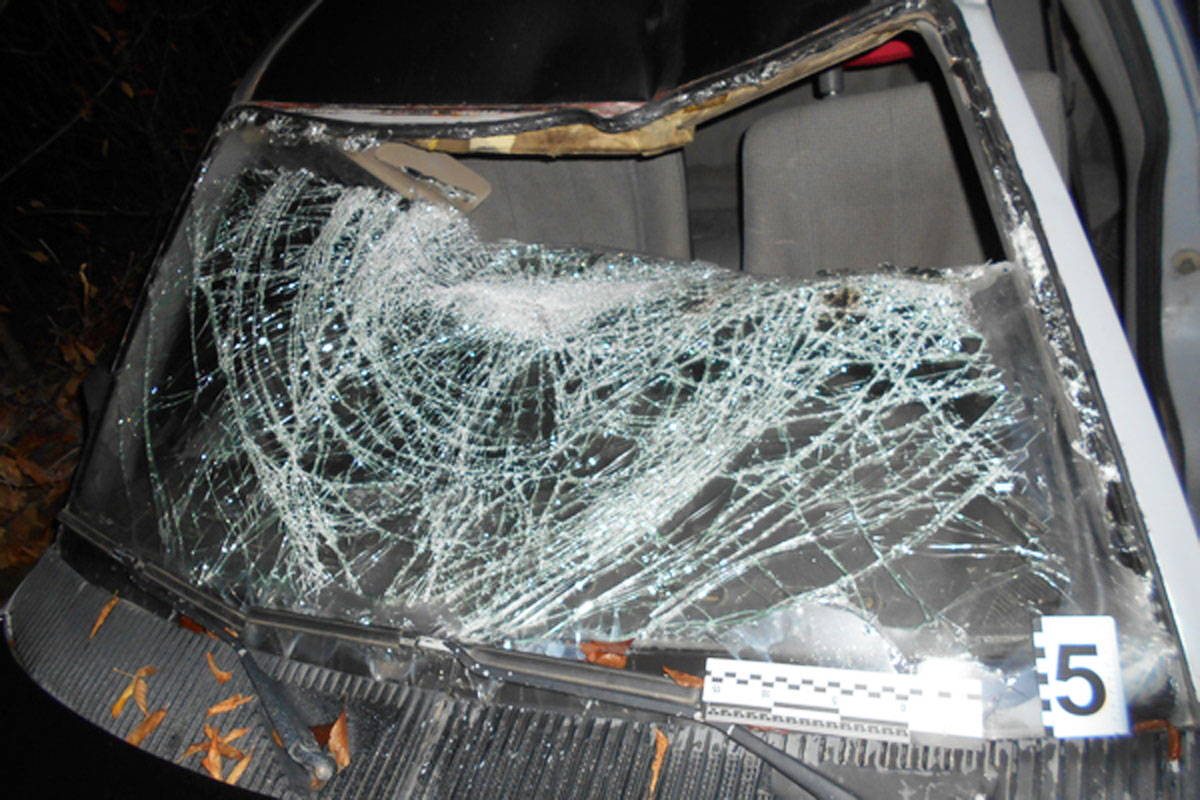 Таксист, который сбил пешеходов и уехал с места ДТП, пойдет под суд (фото)