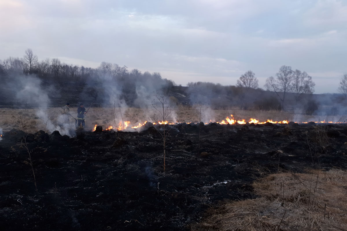 Под Харьковом в пылающей траве погиб человек, сгорели постройки (фото)