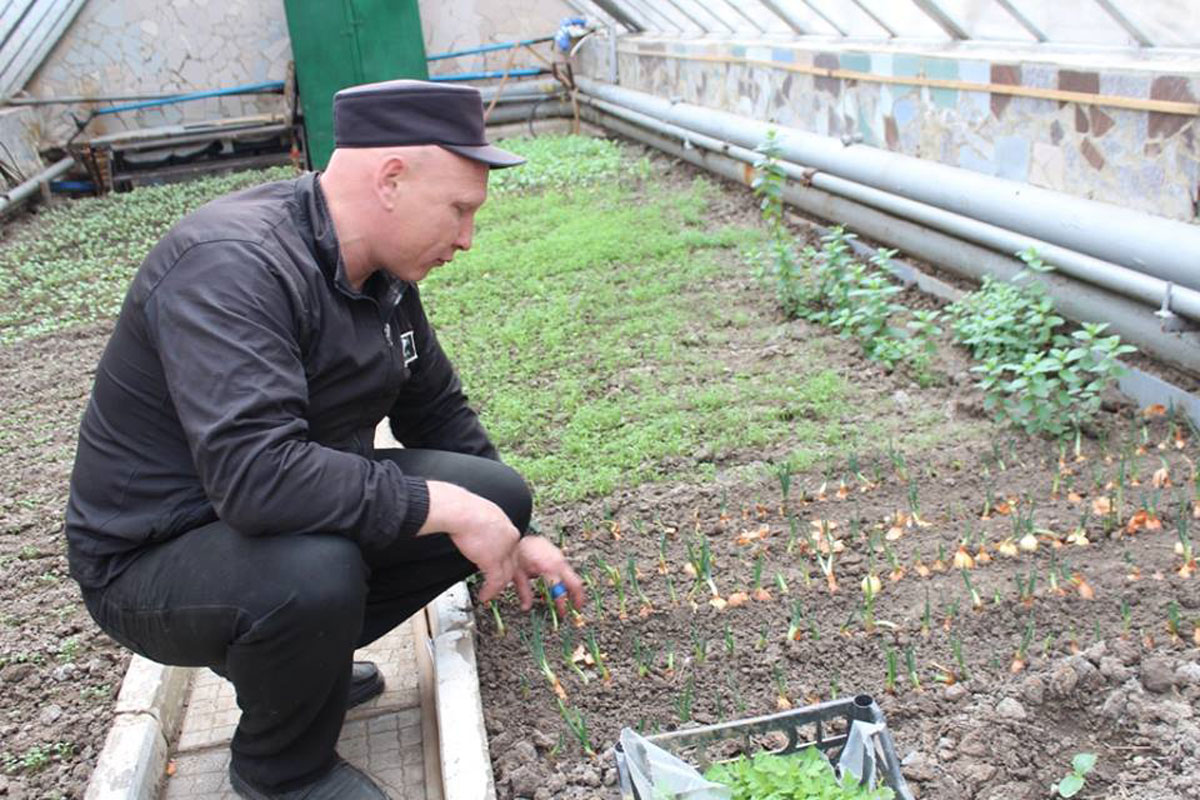 В Харькове преступники выращивают овощи (фото)