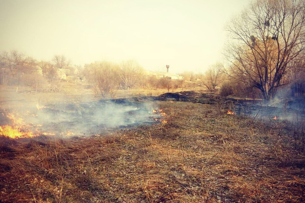 В Харькове пылающий мусор уничтожил частный дом (фото)