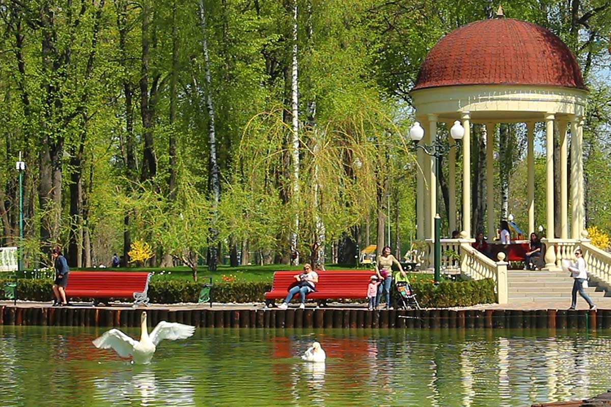 В харьковский пруд запустили лебедей (фото, видео)