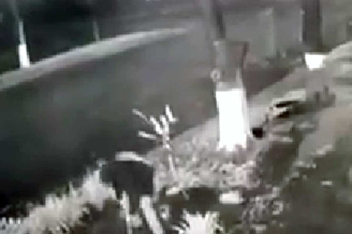 В Харькове украли дерево (видео)