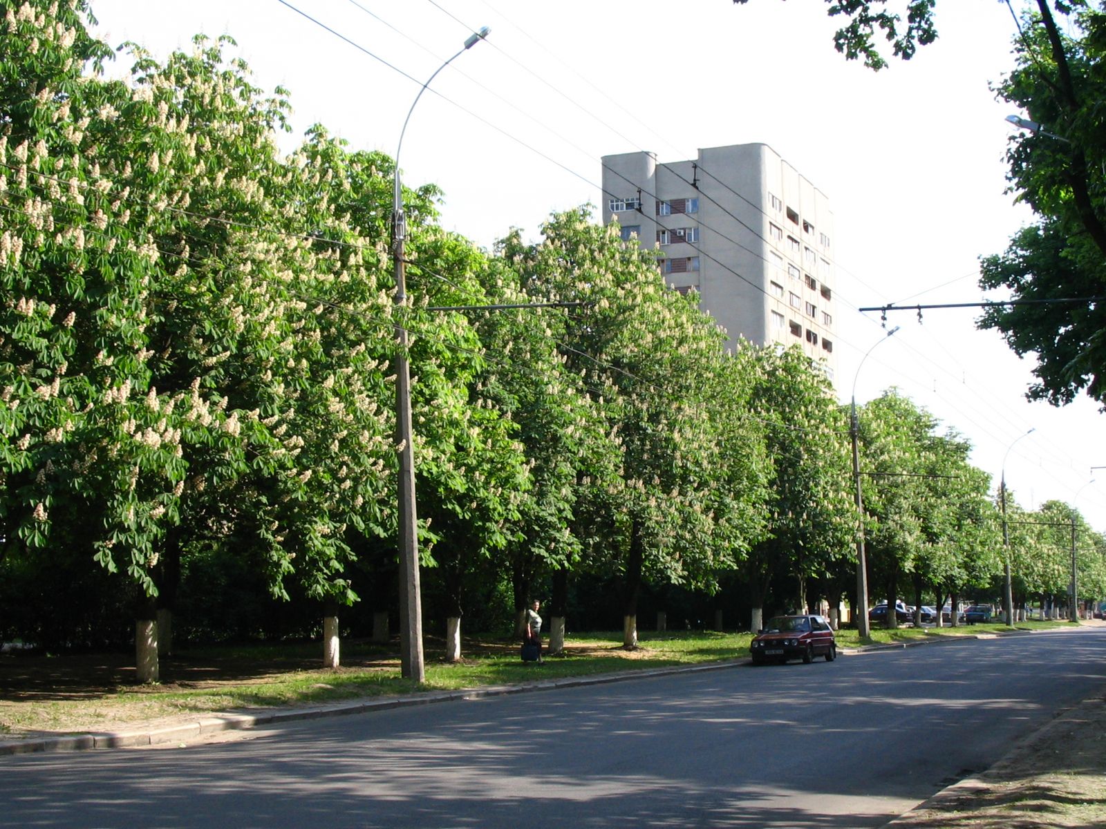 Харьковчане просят переименовать проспект