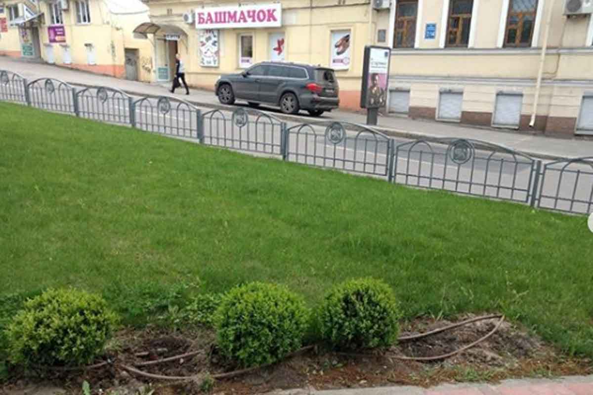 В центре Харькова украли растения, высаженные коммунальщиками