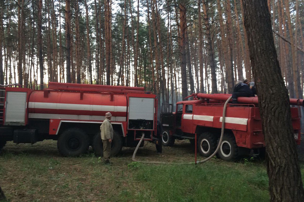 Под Харьковом горел лес (фото)