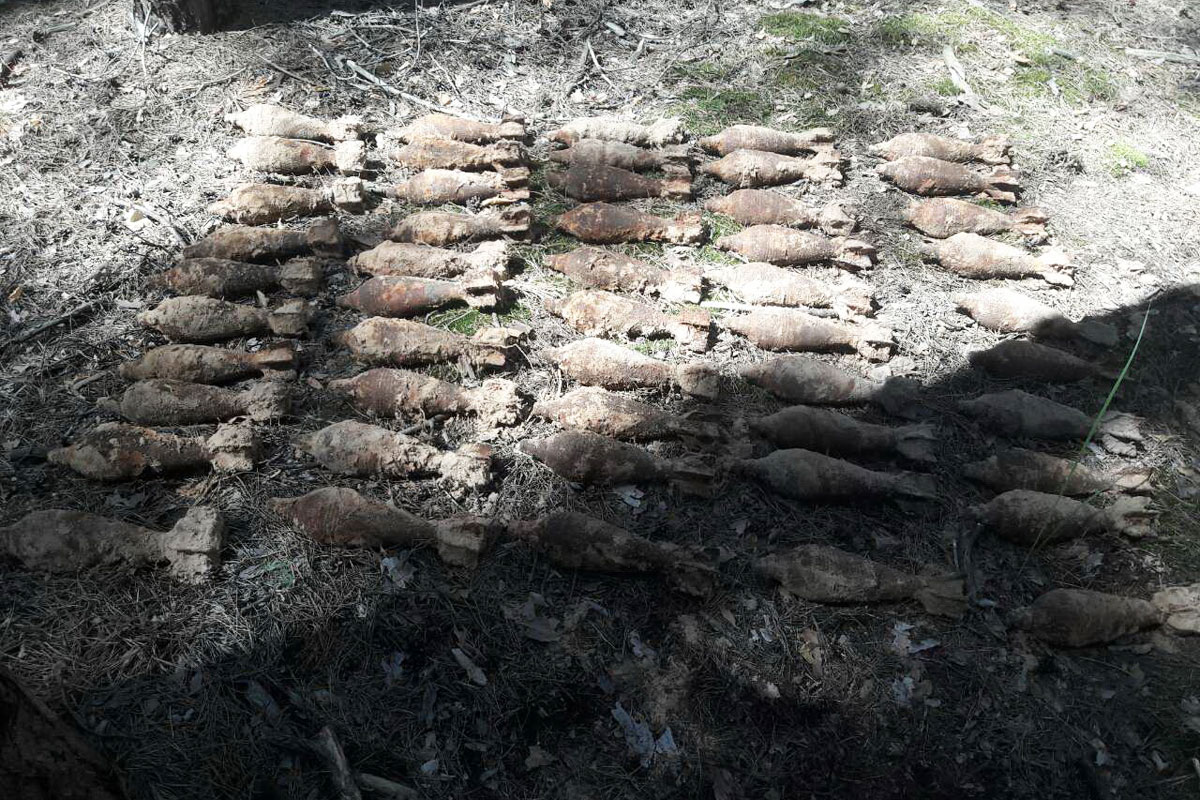 В лесу под Харьковом нашли арсенал (фото)