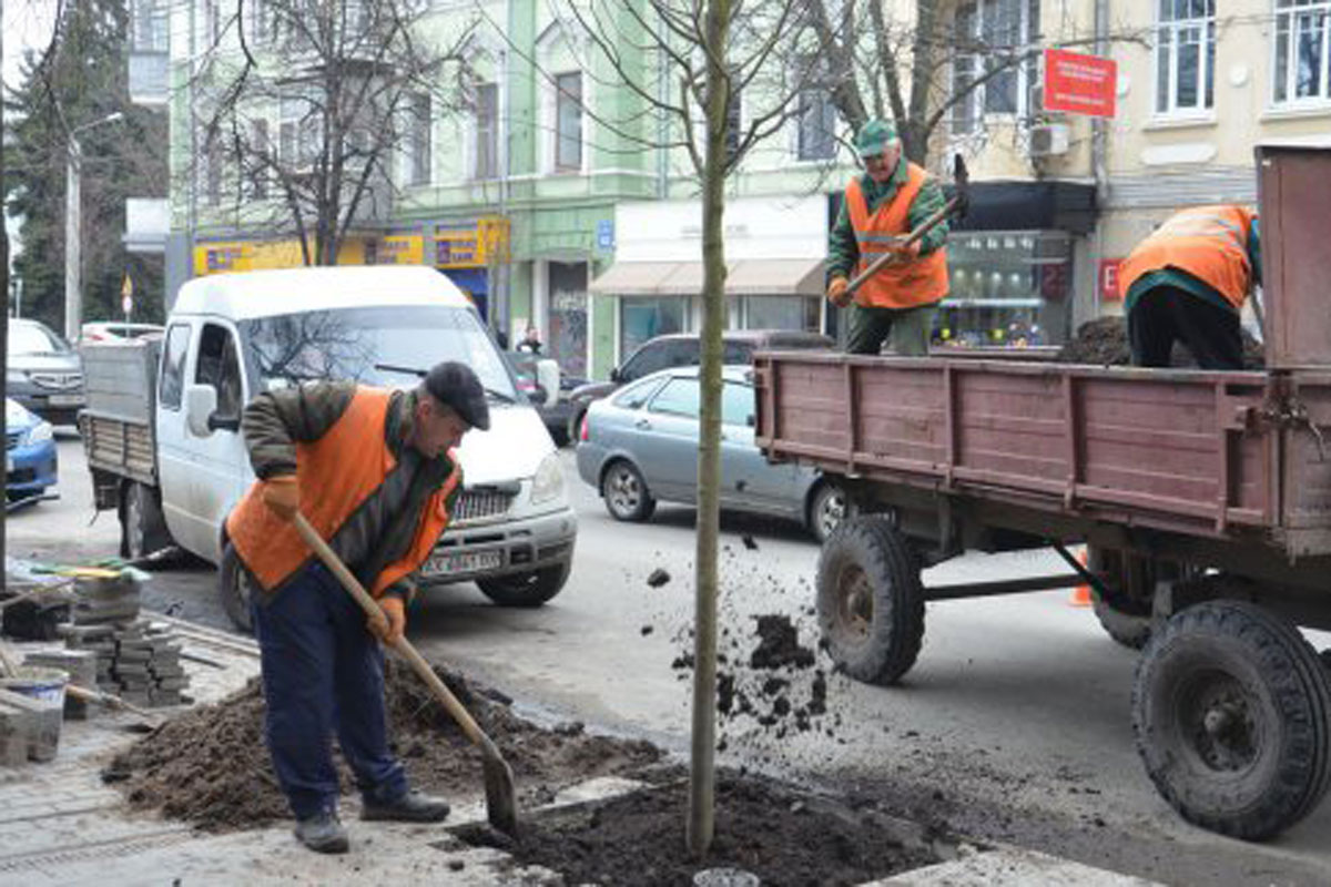 В Харькове высадили более 20 тысяч деревьев