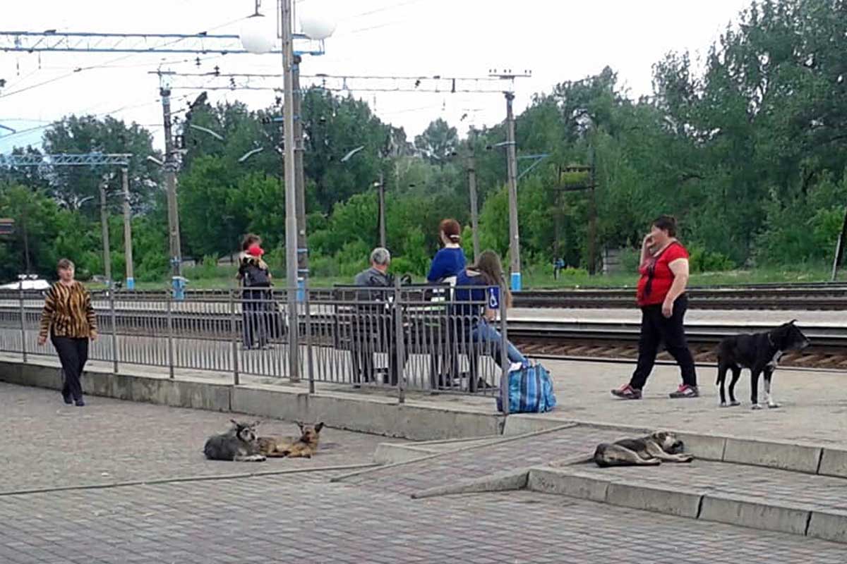 Трагедия на вокзале под Харьковом: мнения людей разделились
