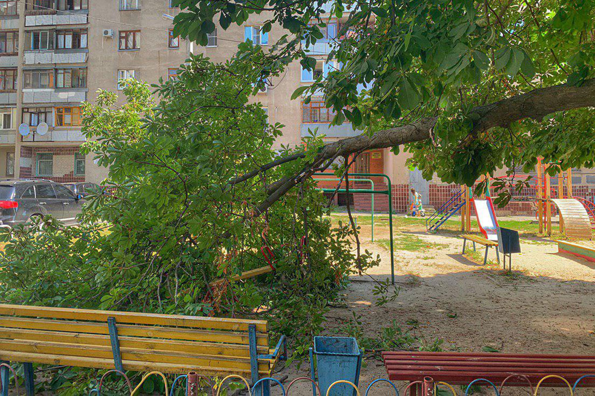 В Харькове дерево рухнуло на детские качели (фото)