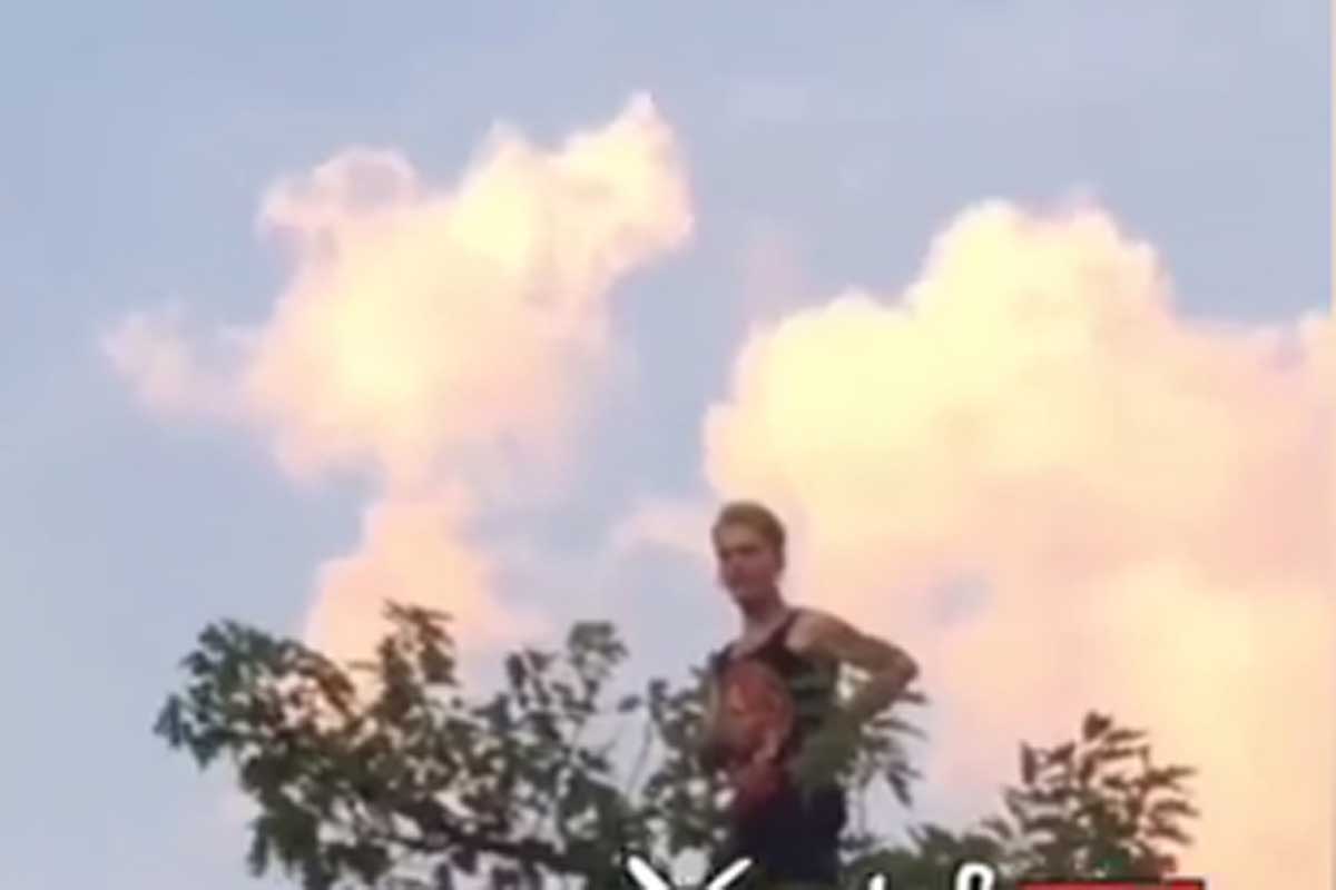 В погоне за селфи: парень залез на дерево в центре Харькова 