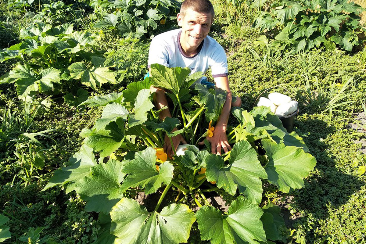 Под Харьковом преступники убирают овощи (фото)
