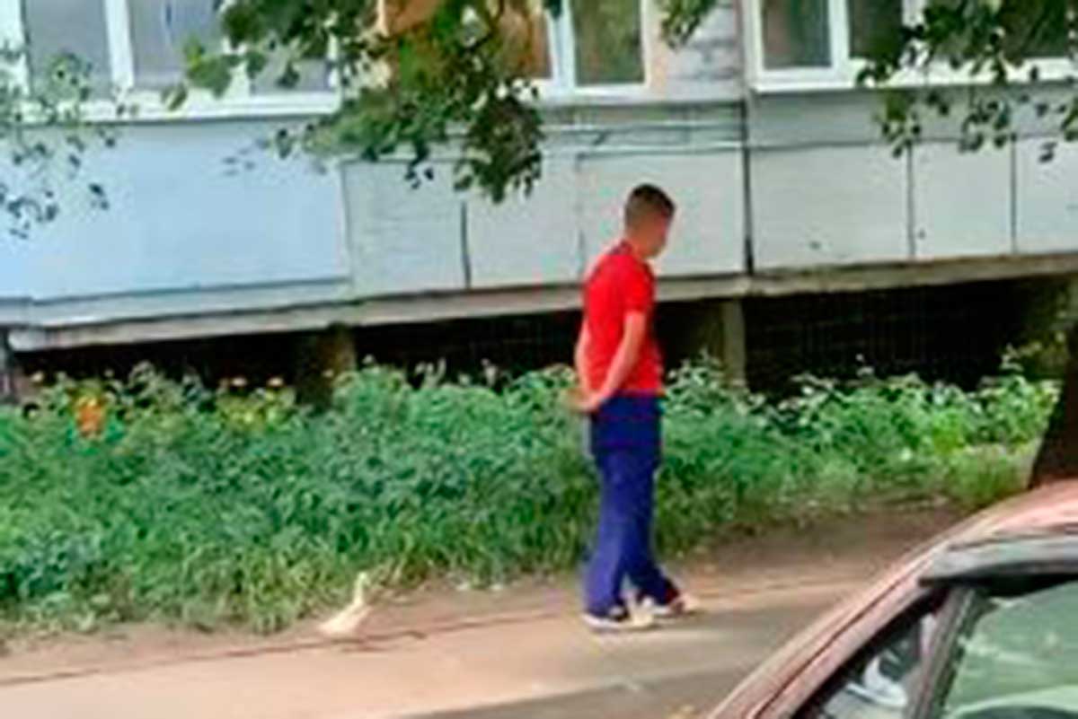 Харьковчанин выгуливает утку на поводке (видео)