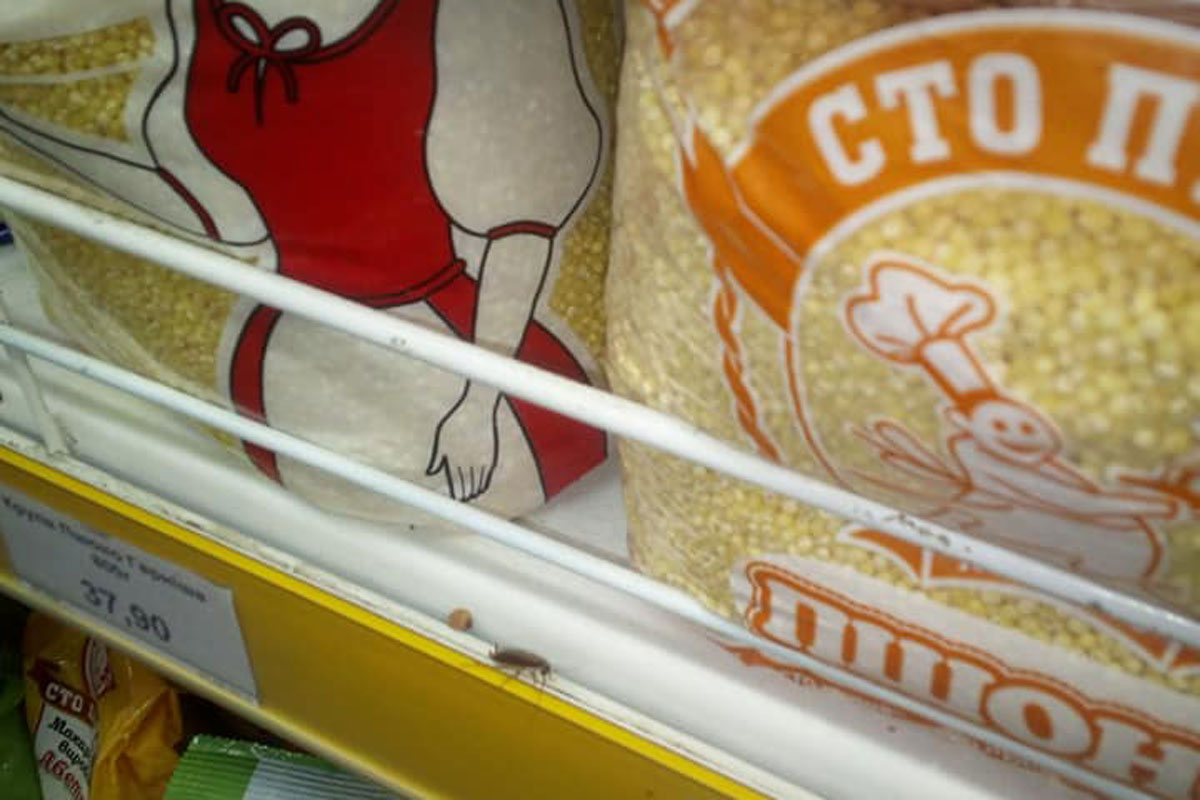 Под Харьковом покупателей в супермаркете испугали насекомые (фото)