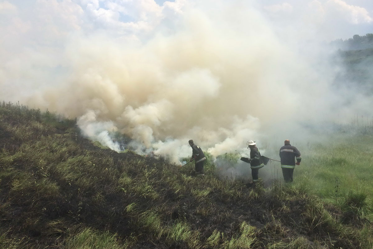 В Харькове горящая трава повредила газопровод (фото)