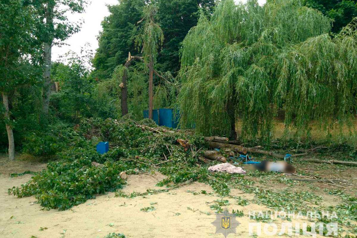 Под Харьковом на отдыхающих рухнуло дерево: подробности (фото)