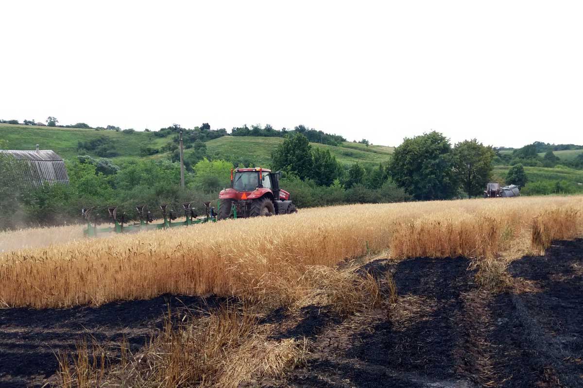 Под Харьковом горело пшеничное поле