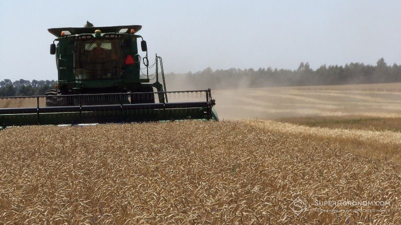 В Харьковской области намолотили первые 500 тысяч тонн зерна