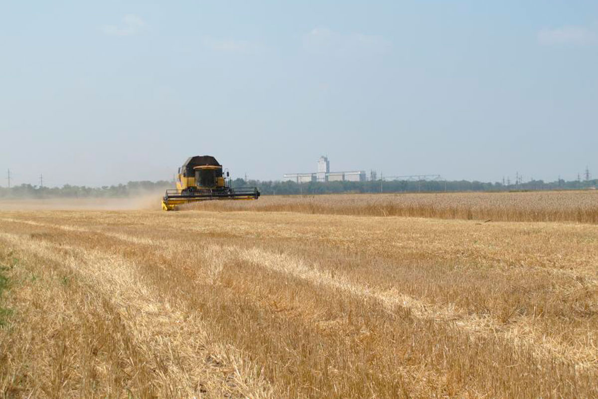 Харьковские аграрии намолотили первый миллион тонн зерна