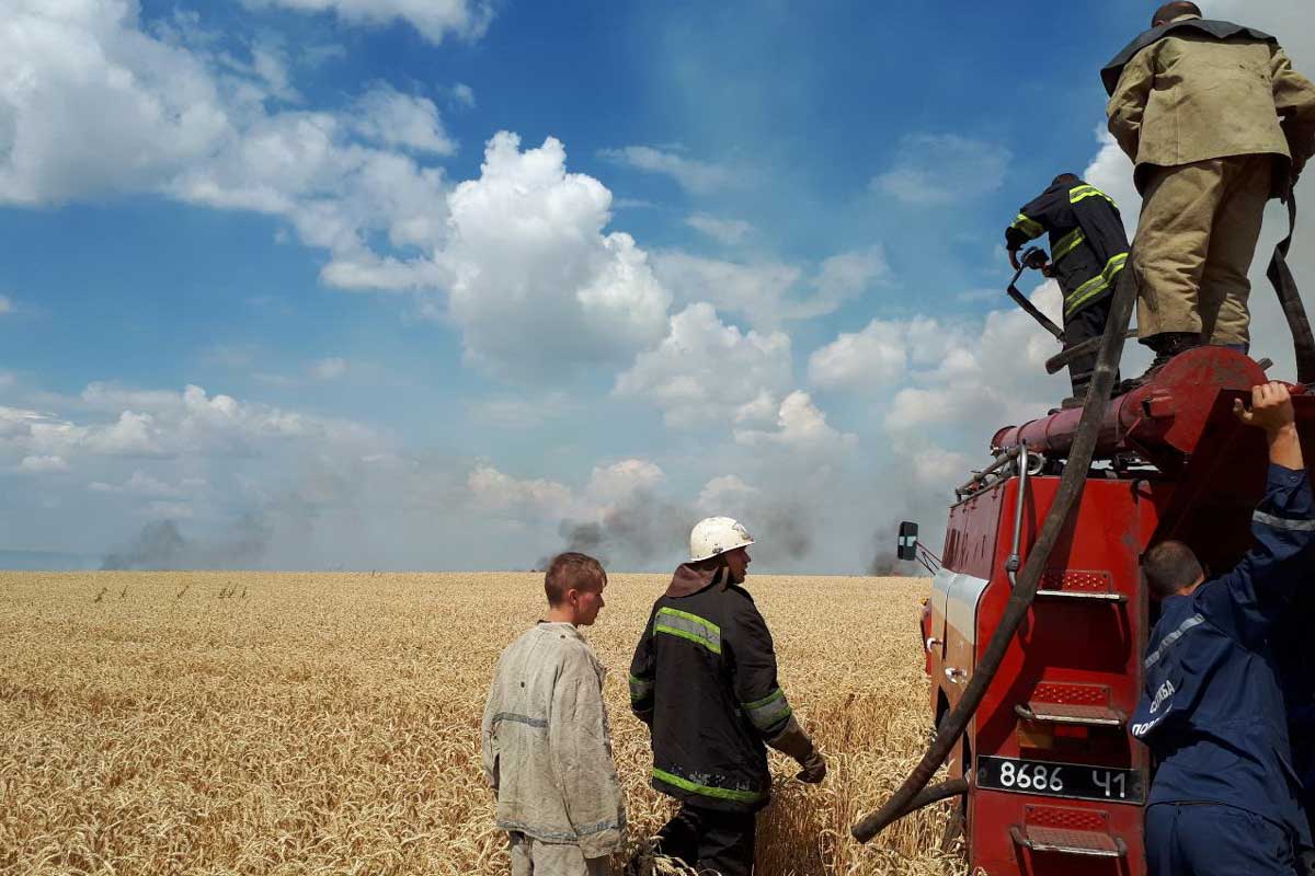 Под Харьковом горело пшеничное поле (фото)