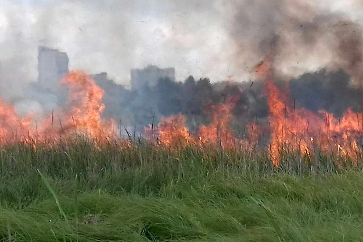 Опубликовано видео крупного пожара на Салтовке