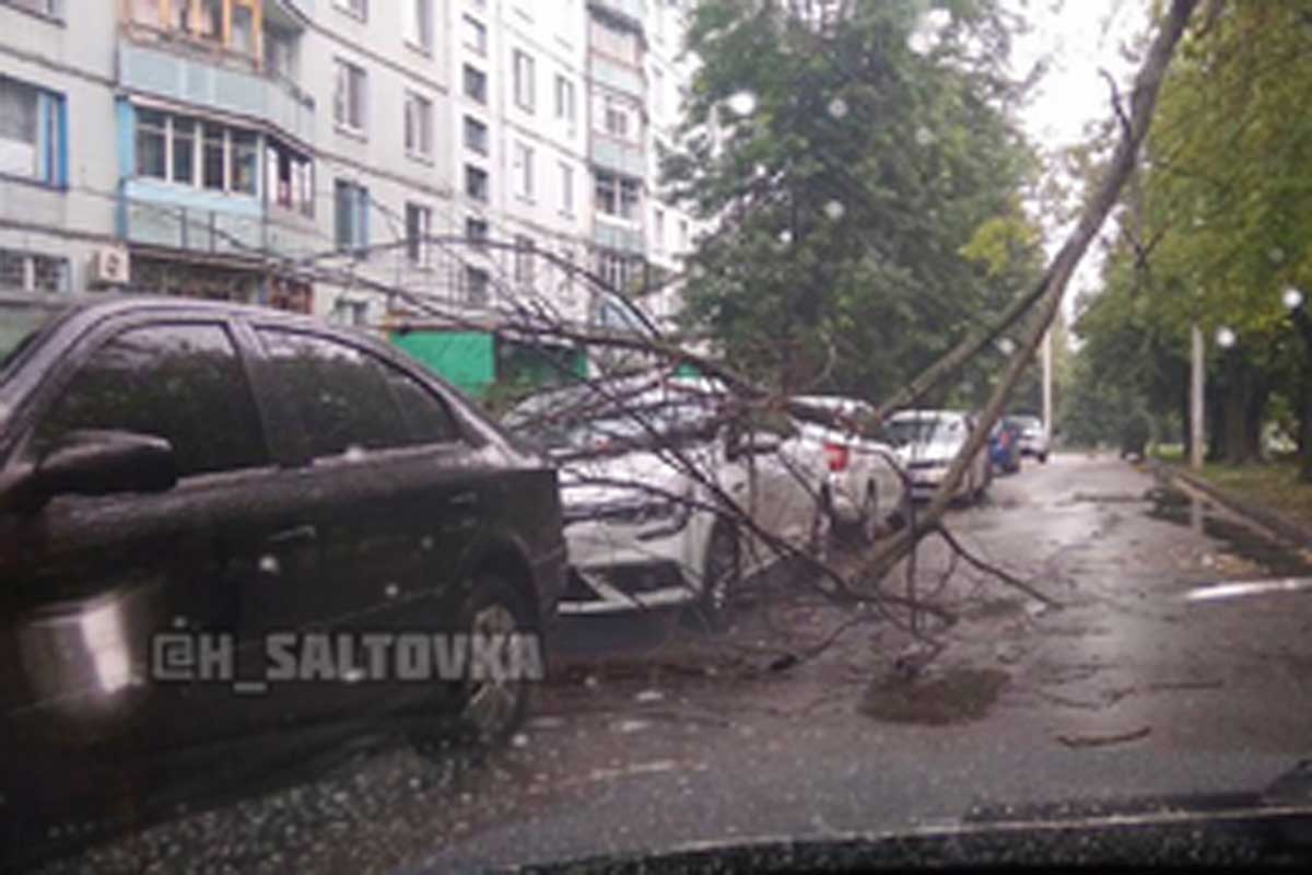 На Салтовке ветки рухнули на припаркованное авто